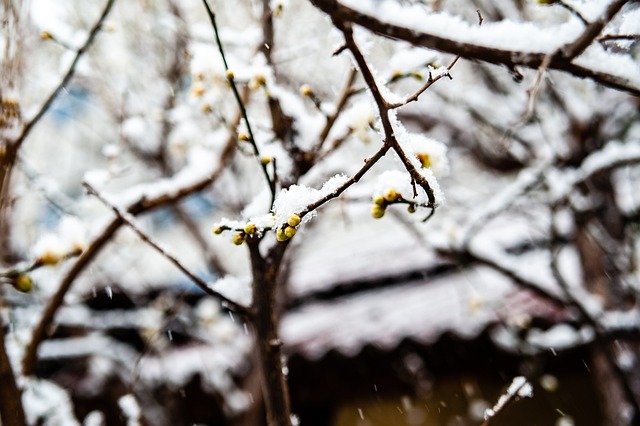 兰中场菲尔